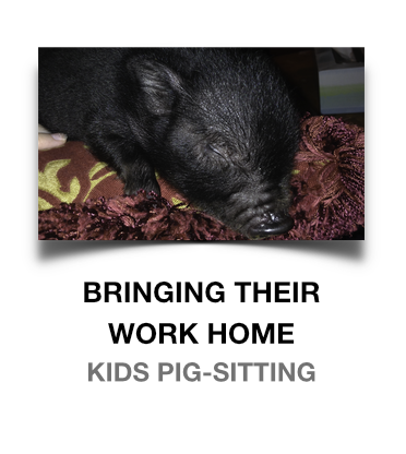 Bringing their work home: Kids raise a pig